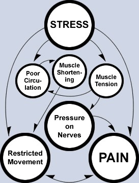 breaking the stress cycle
