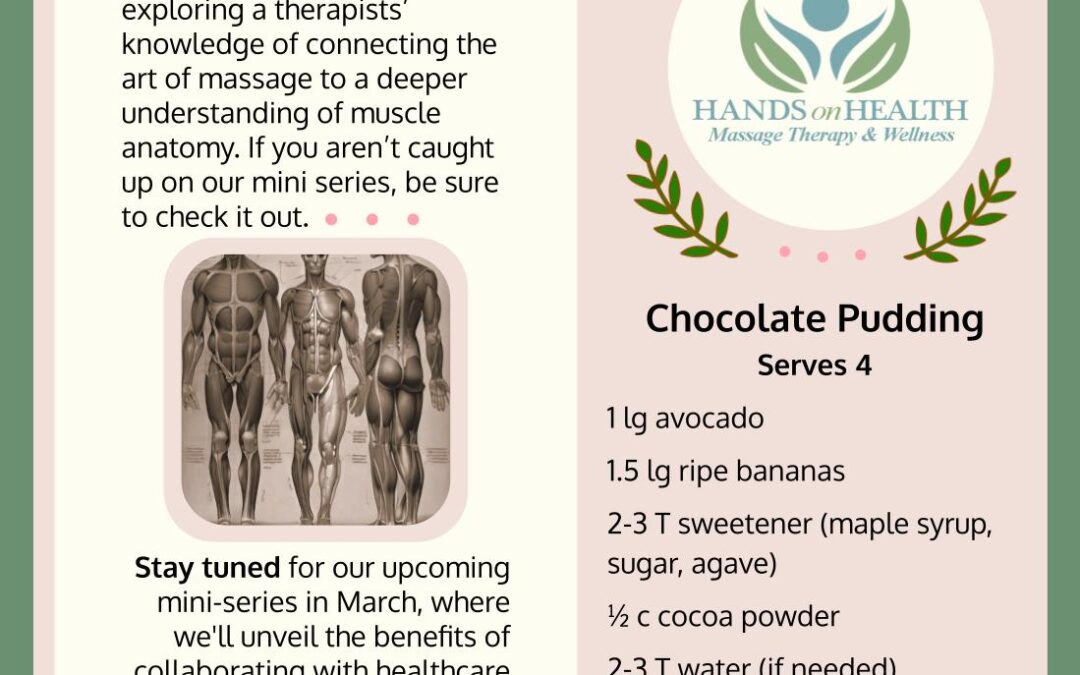 Hands On Health Spring 2024 newsletter – puzzles, recipes, and events